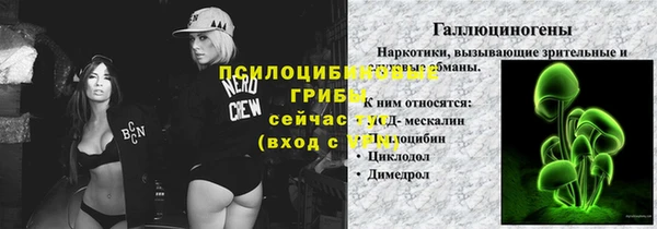 прущая мука Заводоуковск