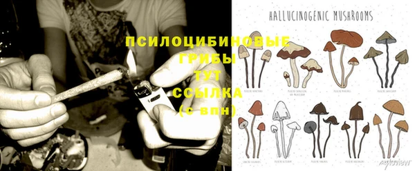 прущая мука Заводоуковск