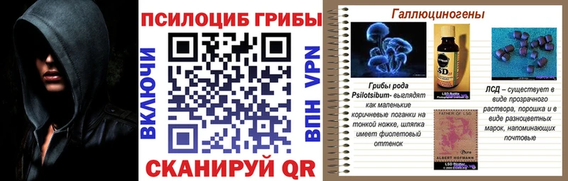купить наркоту  Суровикино  Галлюциногенные грибы Magic Shrooms 